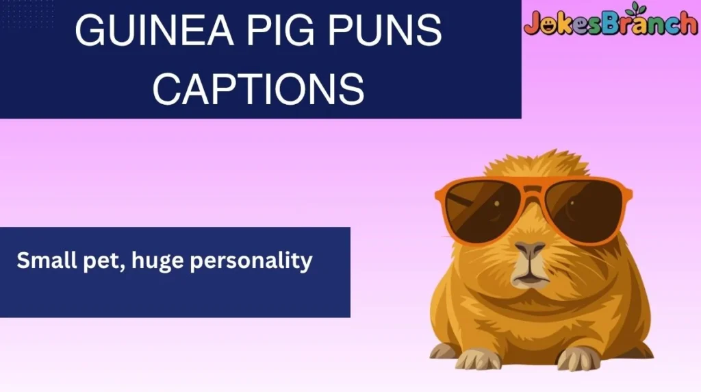 Guinea Pig Puns Captions
