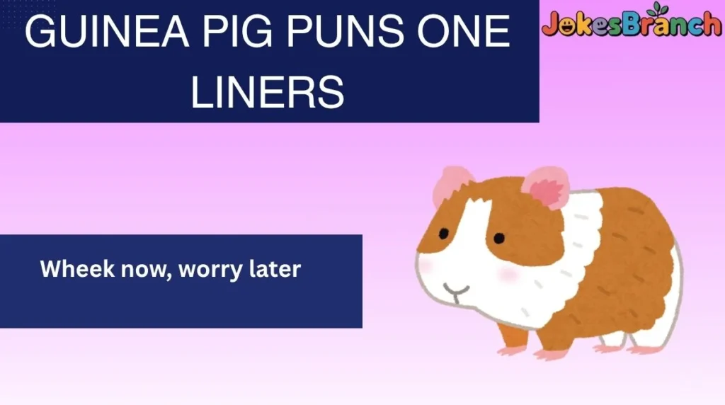 Guinea Pig Puns One Liners