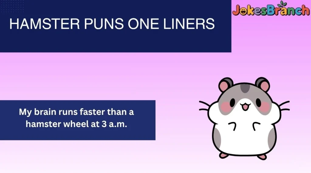 Hamster Puns One Liners