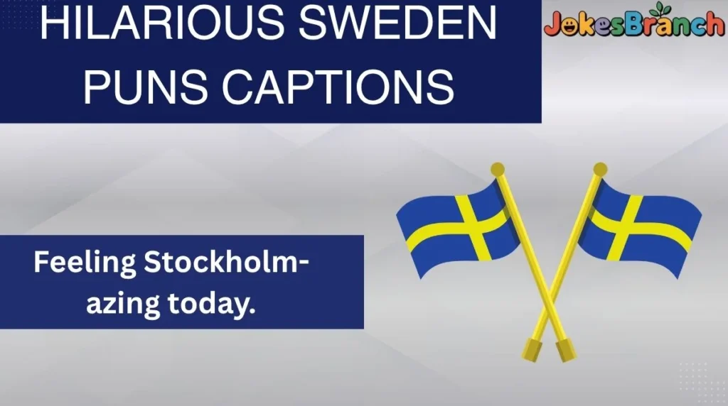 Hilarious Sweden Puns Captions