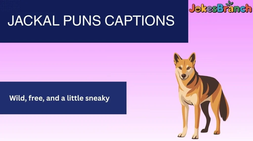 Jackal Puns Captions