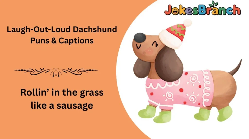 Laugh-Out-Loud Dachshund Puns & Captions