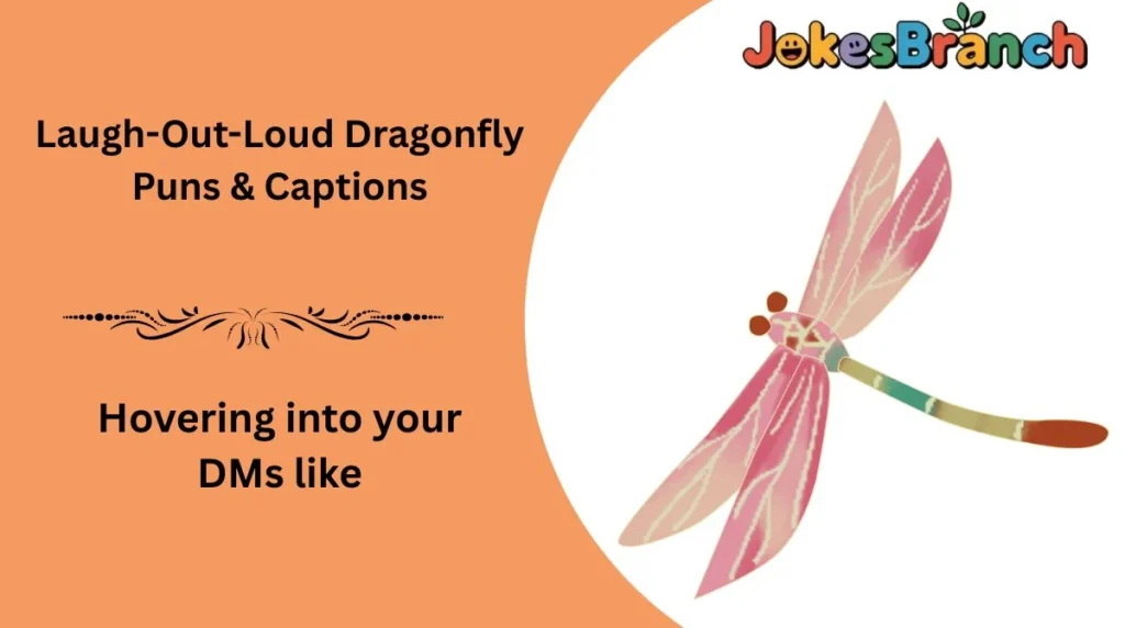 Laugh-Out-Loud Dragonfly Puns & Captions