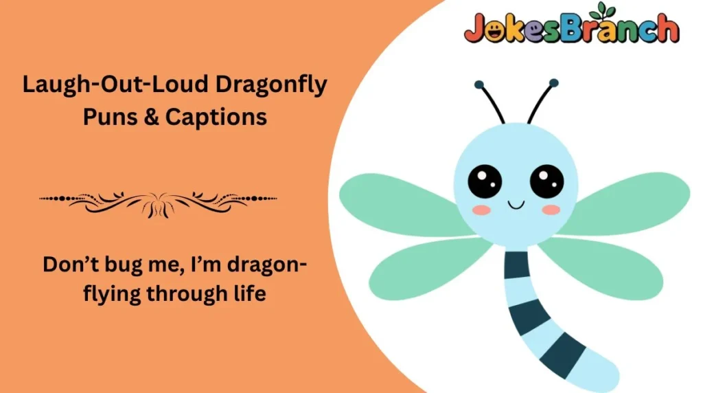 Laugh-Out-Loud Dragonfly Puns & Captions