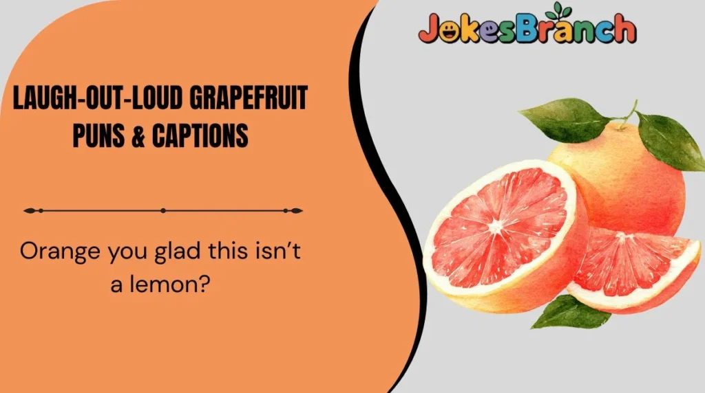 Laugh-Out-Loud Grapefruit Puns & Captions
