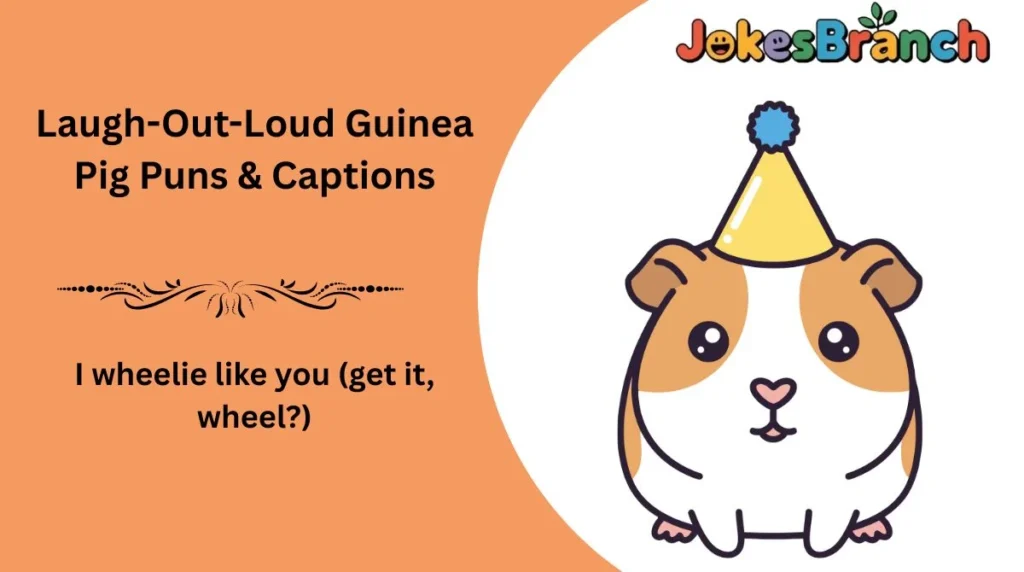 Laugh-Out-Loud Guinea Pig Puns & Captions