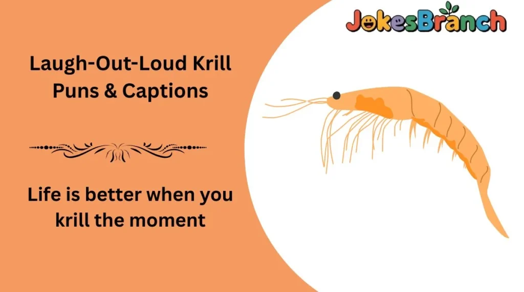 Laugh-Out-Loud Krill Puns & Captions
