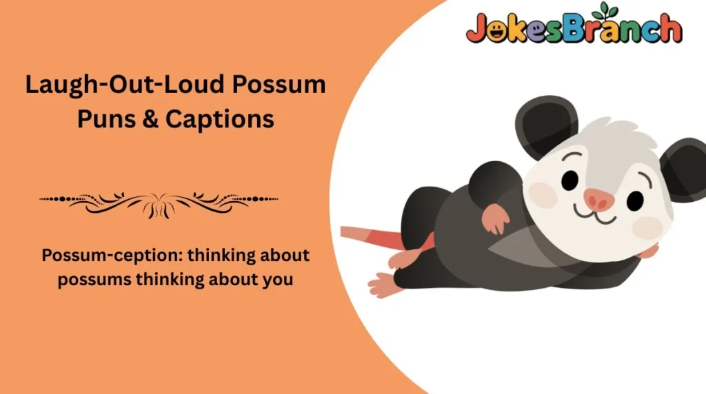 Laugh-Out-Loud Possum Puns & Captions