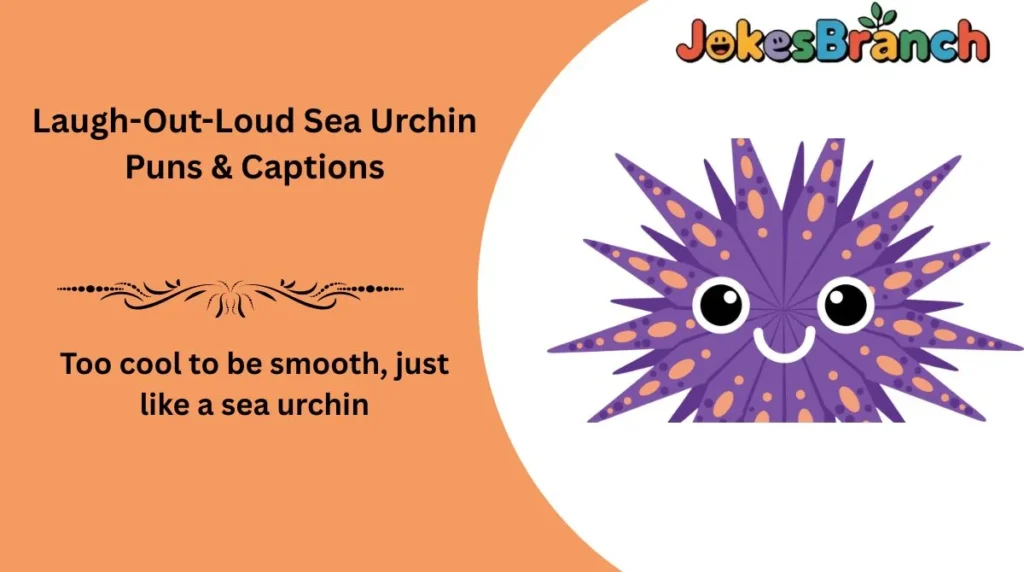 Laugh-Out-Loud Sea Urchin Puns & Captions