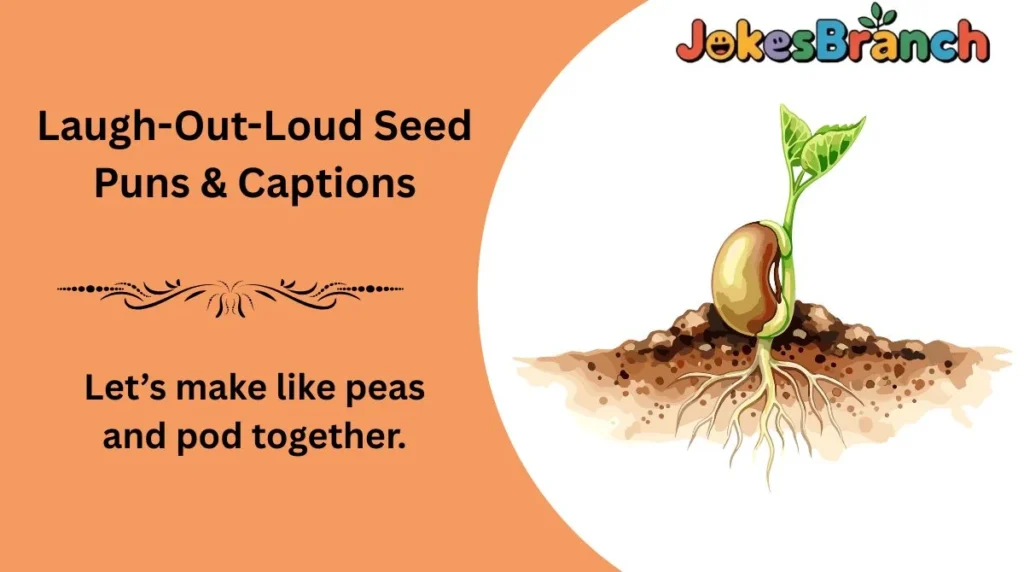 Laugh-Out-Loud Seed Puns & Captions