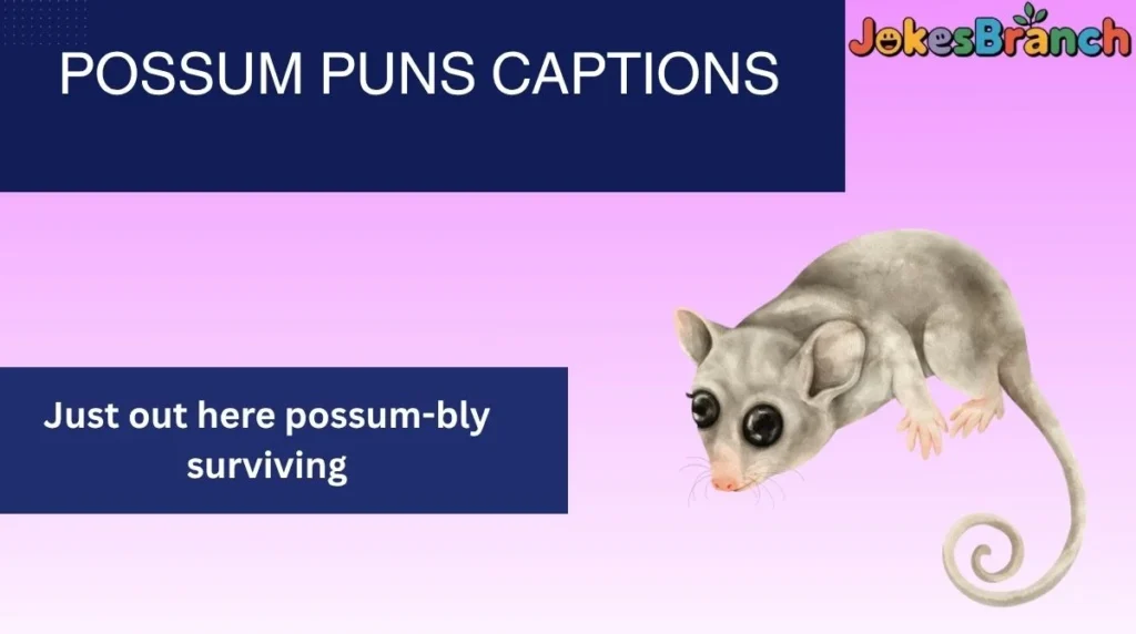 Possum Puns Captions