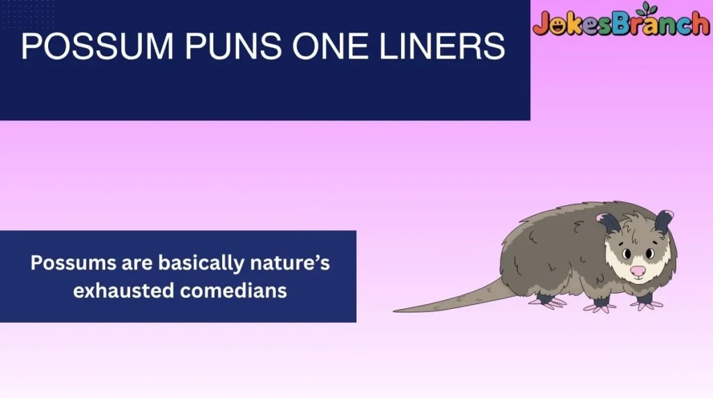 Possum Puns One Liners