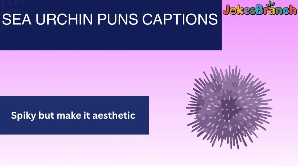 Sea Urchin Puns Captions