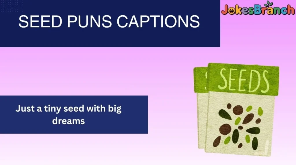 Seed Puns Captions