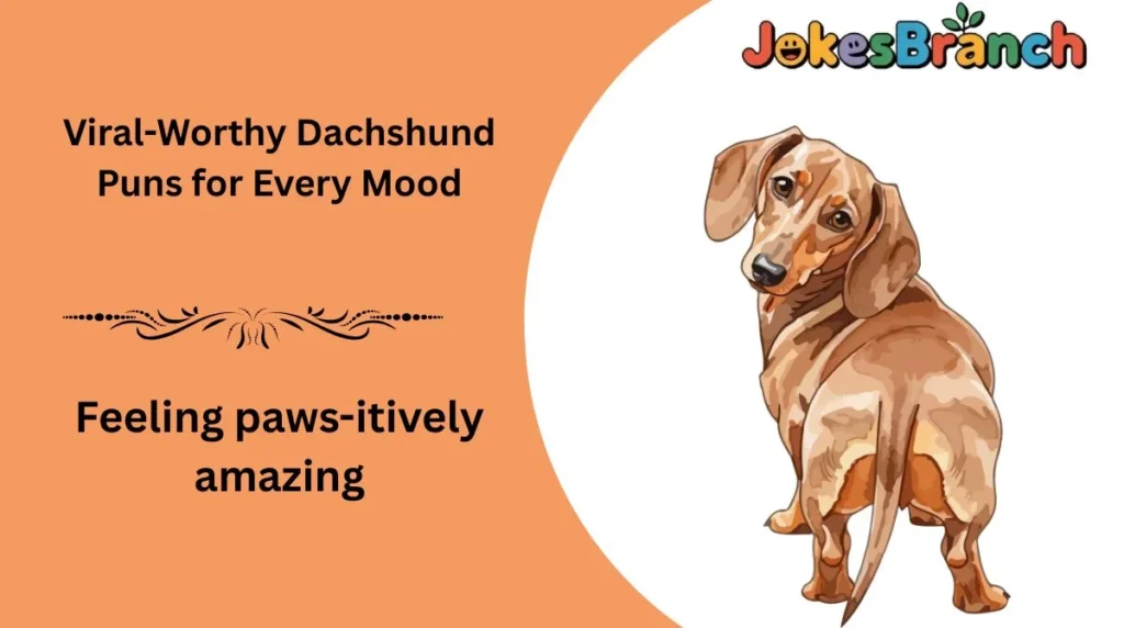 Viral-Worthy Dachshund Puns for Every Mood