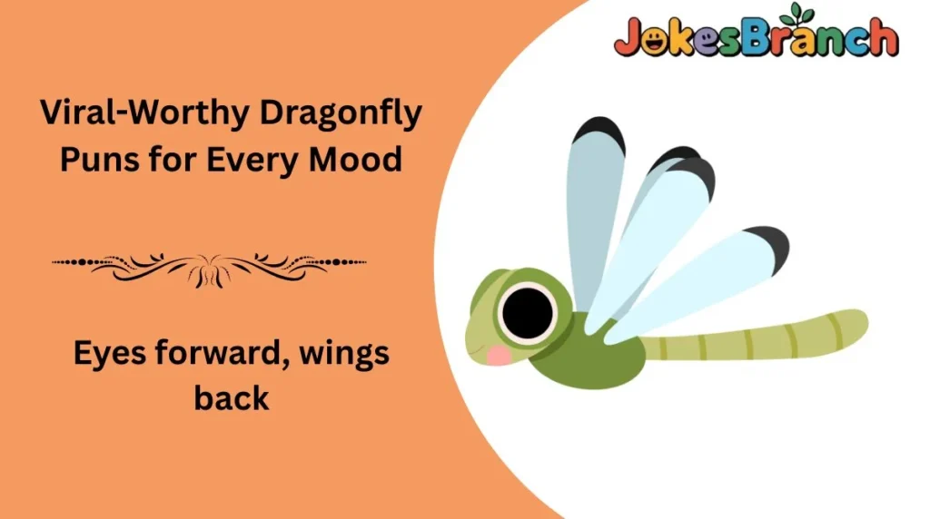 Viral-Worthy Dragonfly Puns for Every Mood