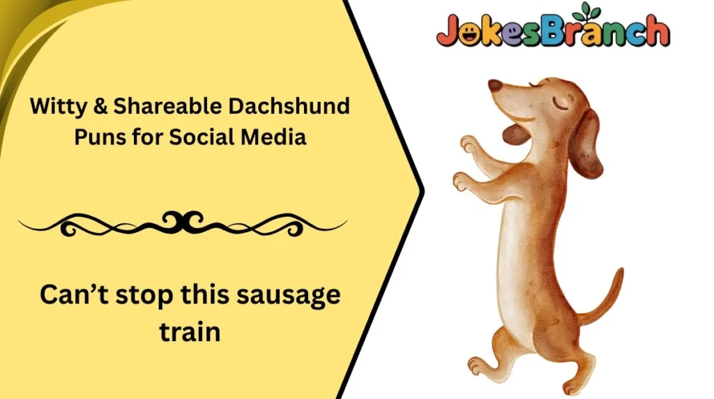 Witty & Shareable Dachshund Puns for Social Media