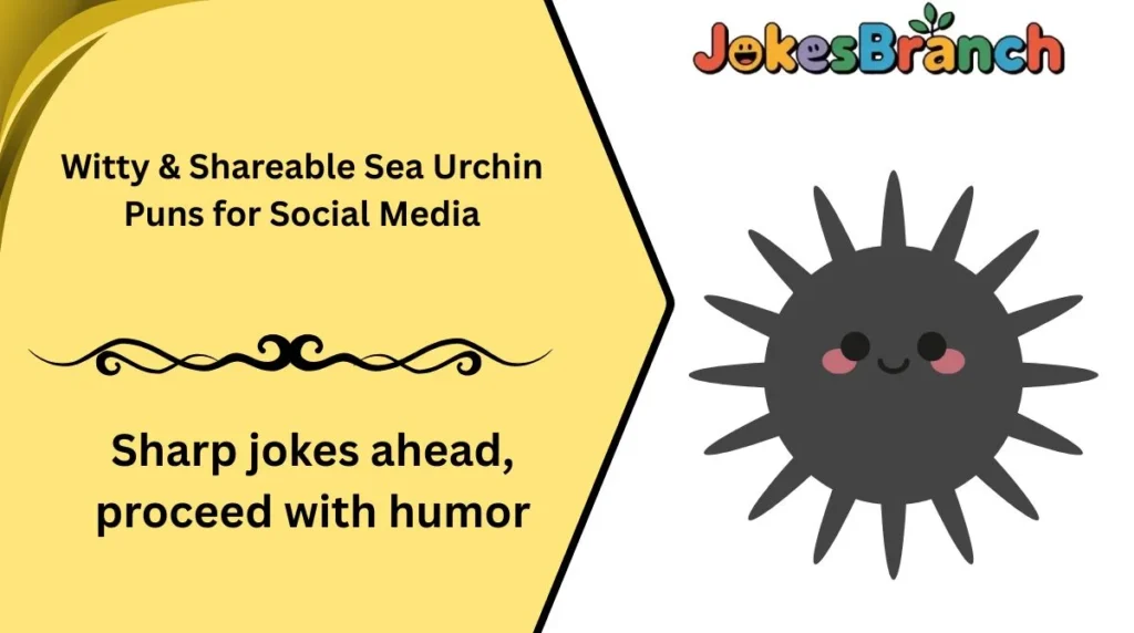 Witty & Shareable Sea Urchin Puns for Social Media
