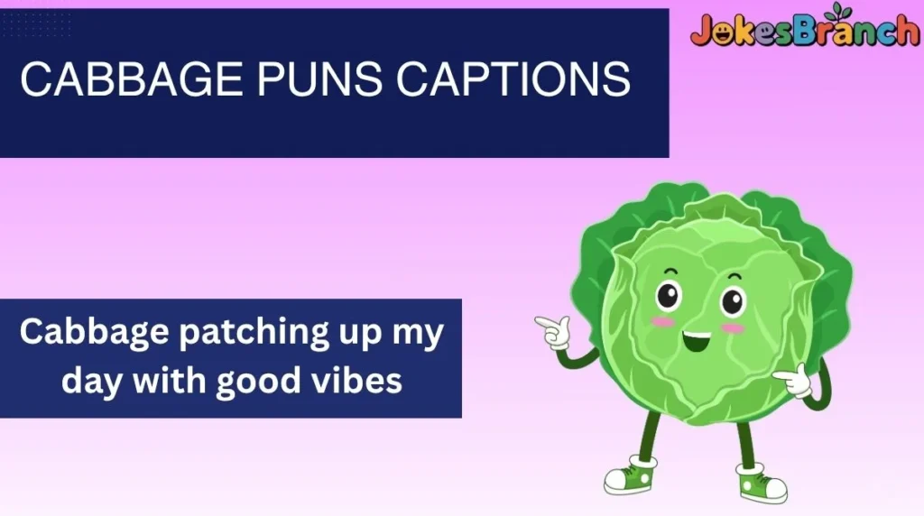 Cabbage Puns Captions