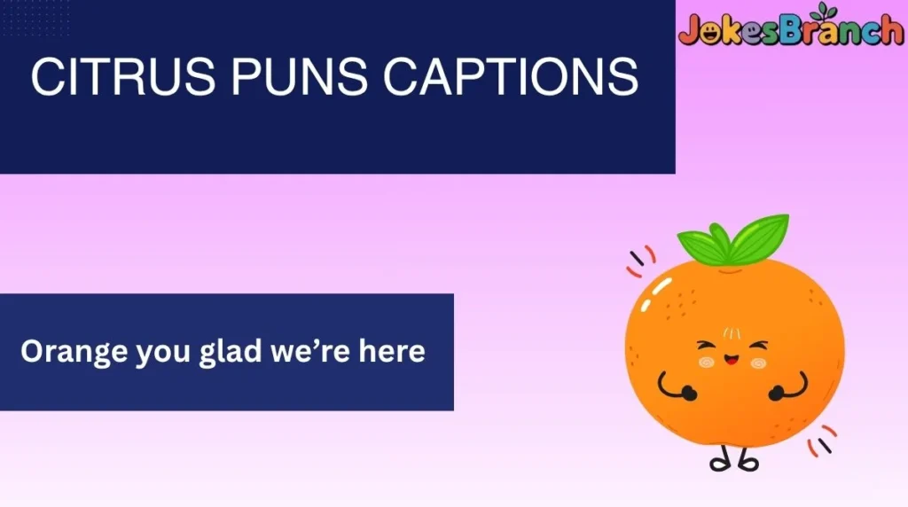 Citrus Puns Captions