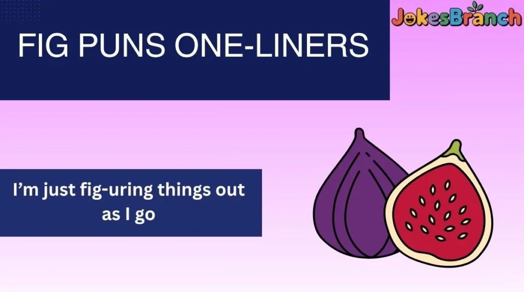 Fig Puns One-Liners