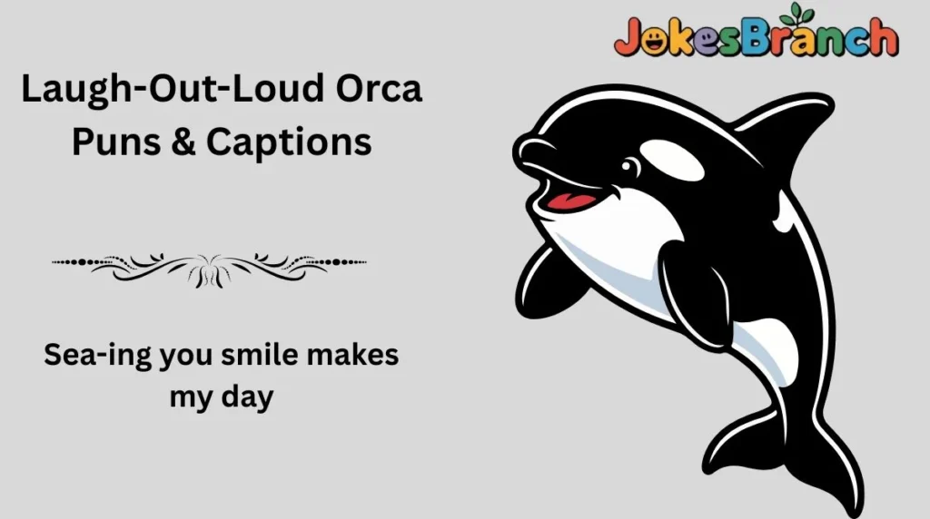 Laugh-Out-Loud Orca Puns & Captions