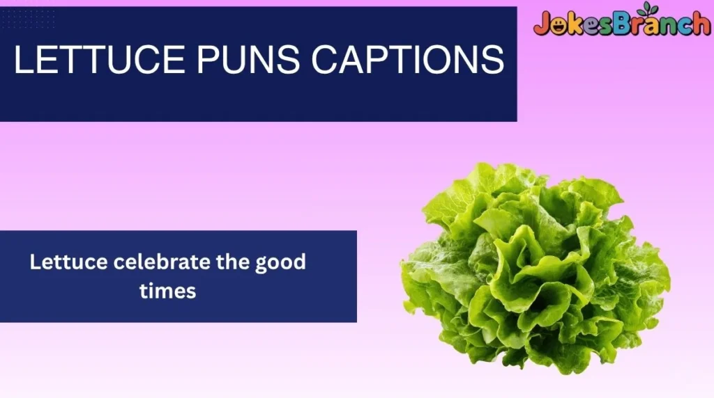Lettuce Puns Captions