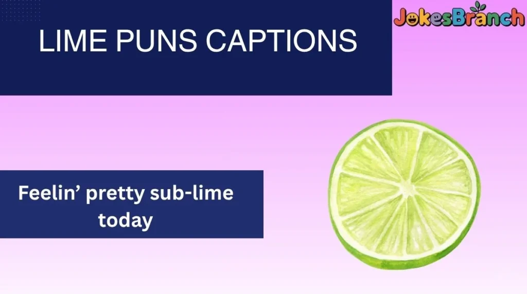 Lime Puns Captions