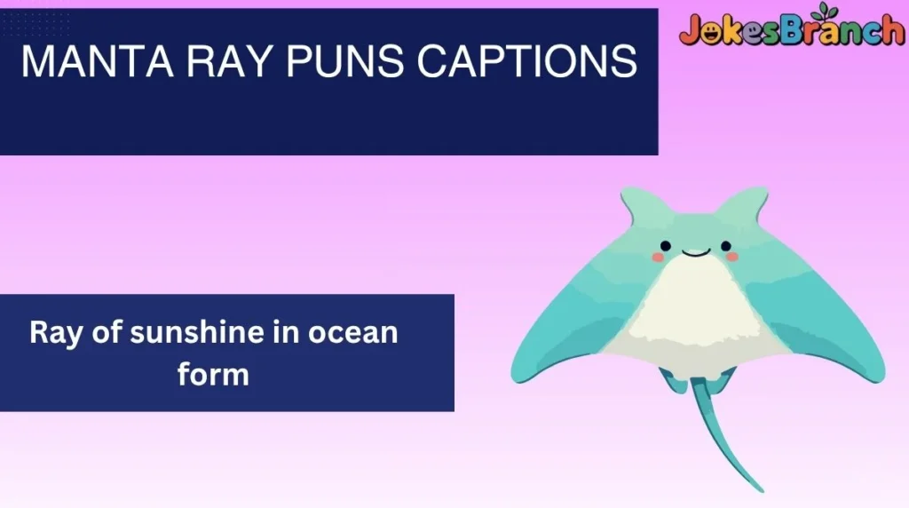 Manta Ray Puns Captions