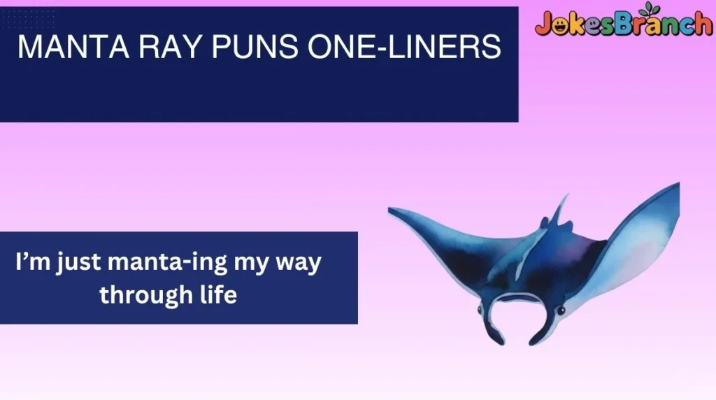 Manta Ray Puns One-Liners