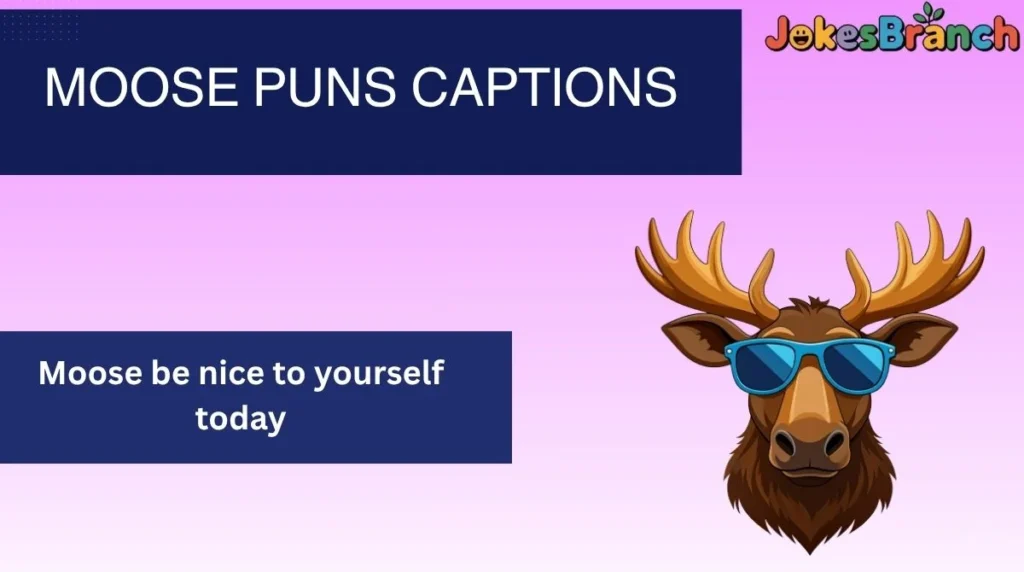 Moose Puns Captions