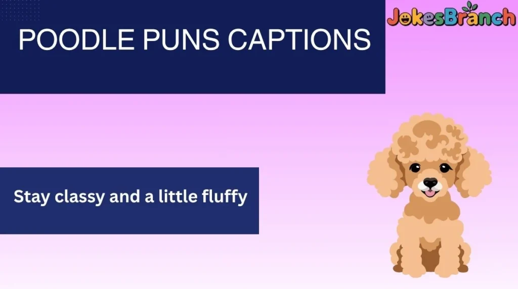 Poodle Puns Captions