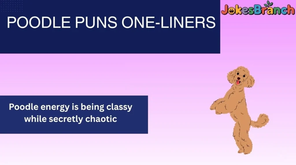 Poodle Puns One-Liners