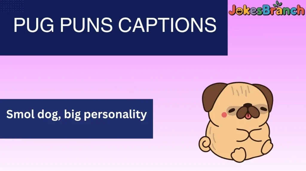 Pug Puns Captions