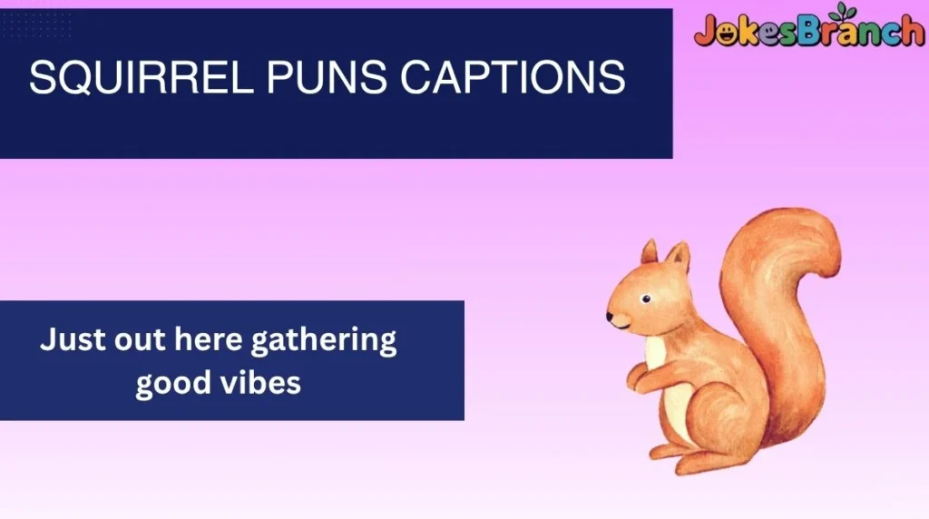 Squirrel Puns Captions