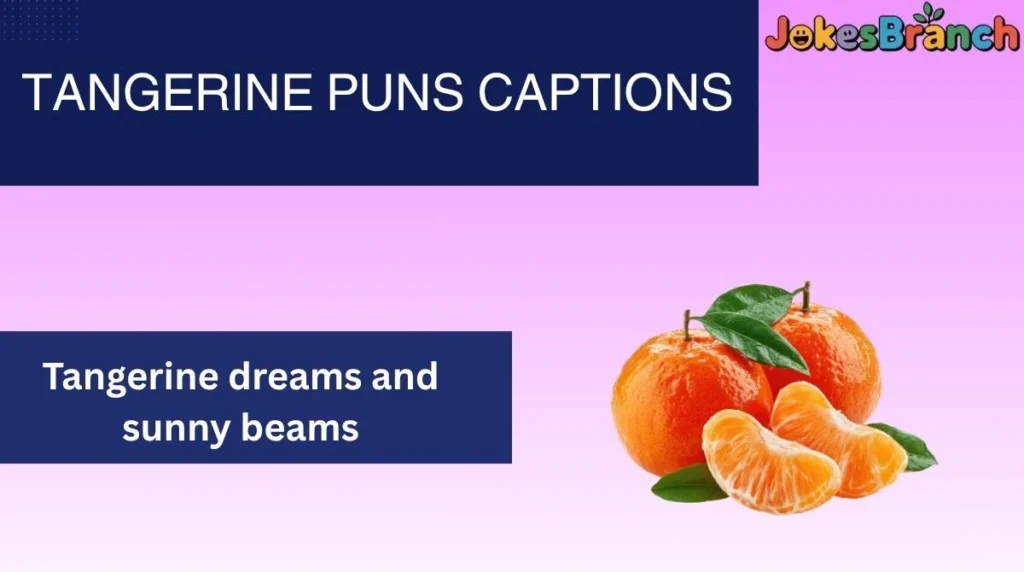 Tangerine Puns Captions