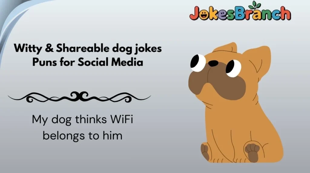 Witty & Shareable dog jokes Puns for Social Media