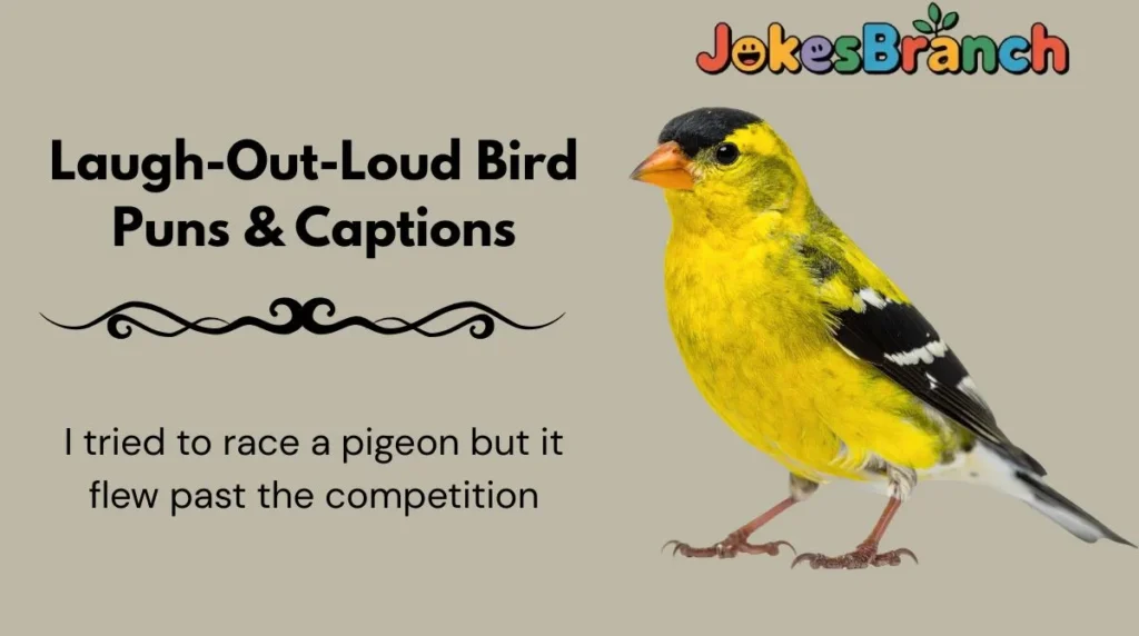 Laugh-Out-Loud Bird Puns & Captions