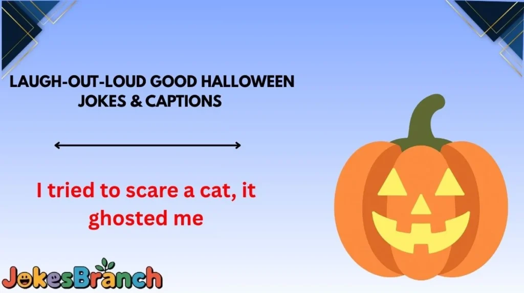Laugh-Out-Loud Good Halloween Jokes & Captions