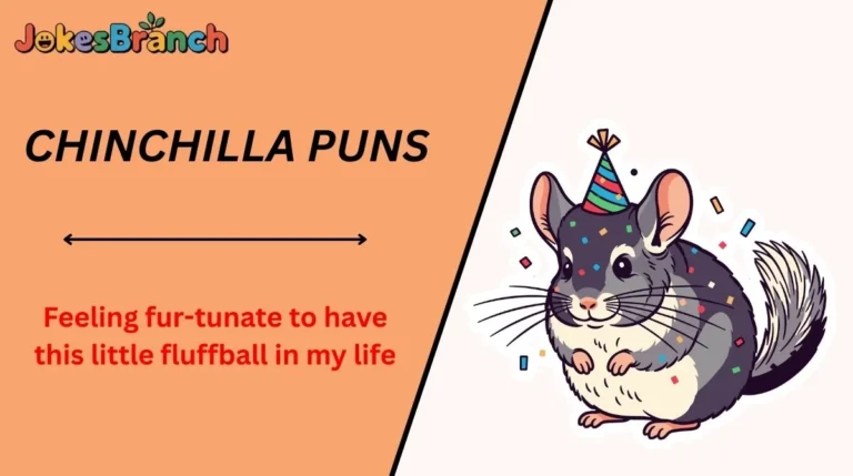 Chinchilla Puns