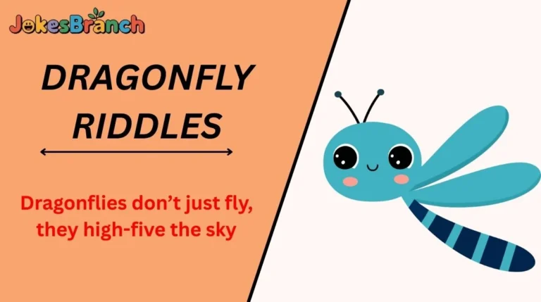 Dragonfly Riddles