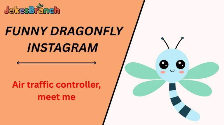 Funny Dragonfly Instagram