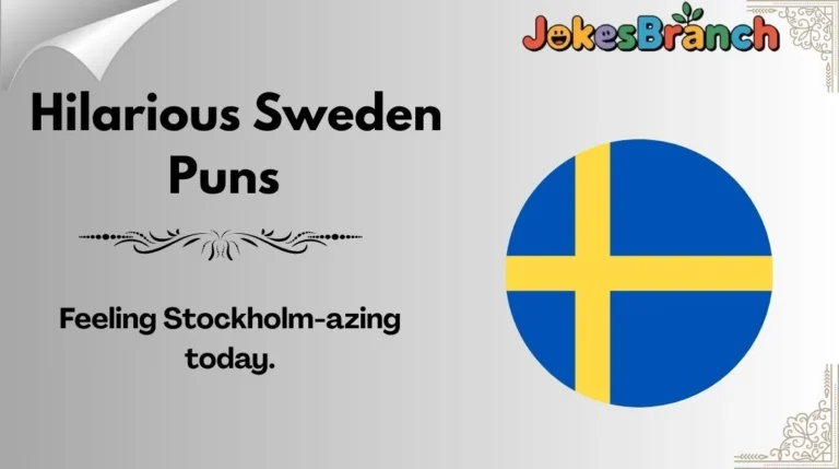 Hilarious Sweden Puns