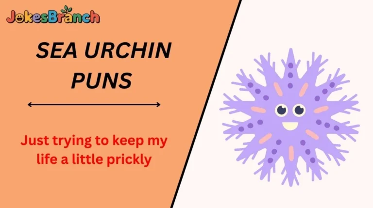 Sea Urchin Puns