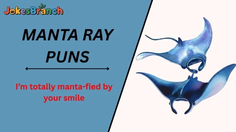Manta Ray Puns