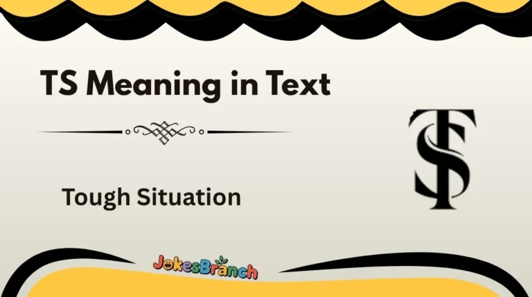 TS Meaning in Text