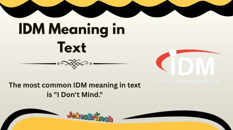 IDM Meaning in Text