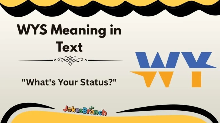 WYS Meaning in Text